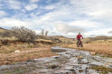 Erkek bisikletçi, sonbahar sonbahar manzarası olan Colorado 'daki Kızıl Dağ Açık Alanı' ndaki bir derede şişman bir dağ bisikleti sürüyor.