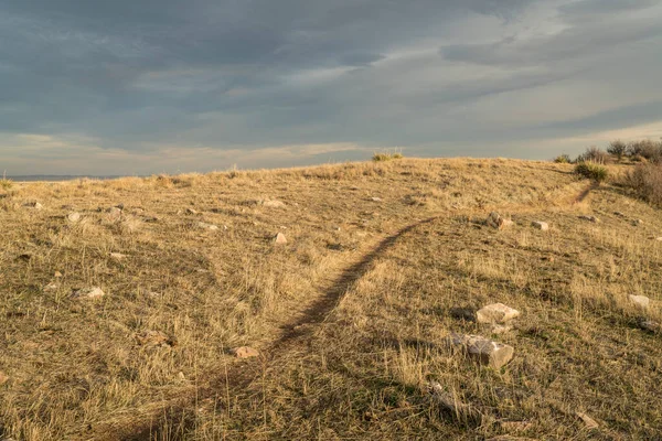 Sunset Single Track Bike Hiking Trail Colorado Foothills Soapstone Prairie — Stock Photo, Image