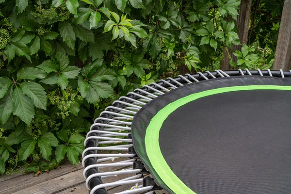 Spor Için Mini Trambolin Detaylarını Bahçe Bahçesinde Asma Yapraklarıyla Egzersiz — Stok fotoğraf