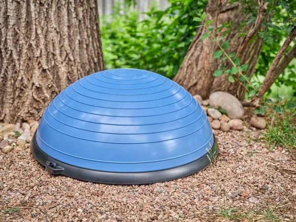 Balance Training Half Ball Oak Tree Backyard Fitness Concept — Stockfoto