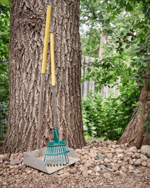 well used pet waste removal tools, tray and rake, in a backyard
