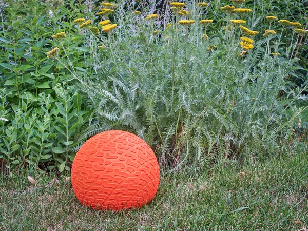 Grooved Textured Heavy Rubber Slam Ball Filled Sand Backyard Exercise — 스톡 사진