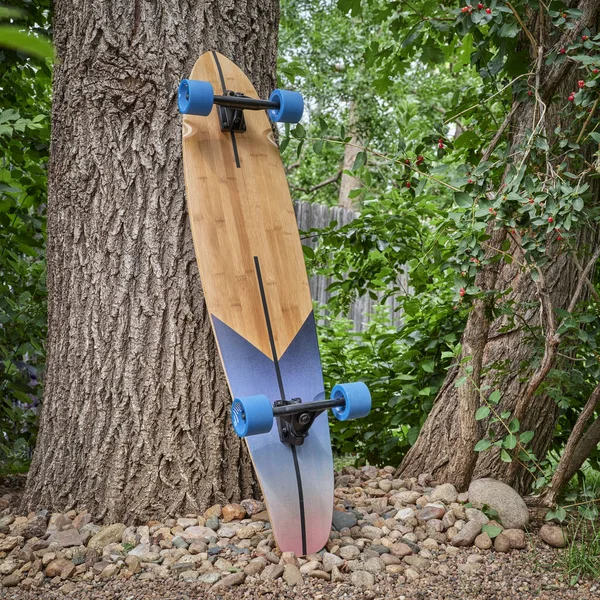 cruising wooden longboard against oak tree in a park or backyard, recreation concept