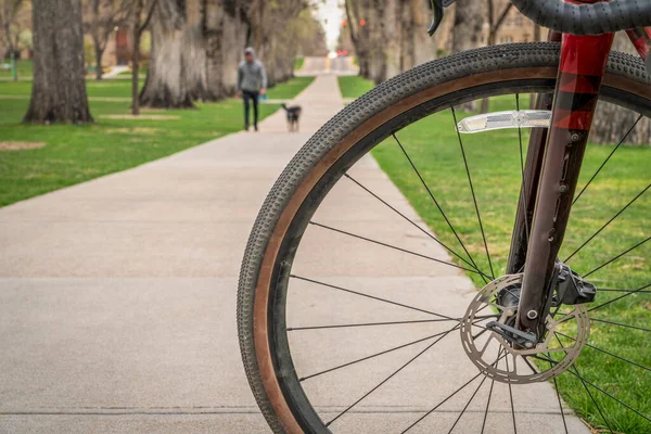 Man Walking Dog Old American Elm Trees Alley Seen Bike — Stockfoto