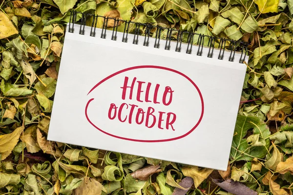 Hello October Cheerful Greeting Note Handwriting Spiral Sketchbook Background Colorful —  Fotos de Stock