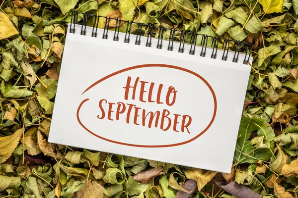 Hello September Cheerful Greeting Note Handwriting Spiral Sketchbook Background Colorful 로열티 프리 스톡 이미지