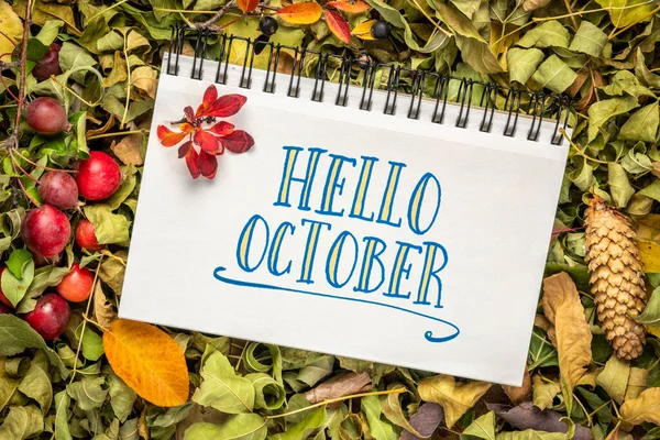 Hello October Cheerful Greeting Note Handwriting Spiral Sketchbook Background Colorful Stock Fotó