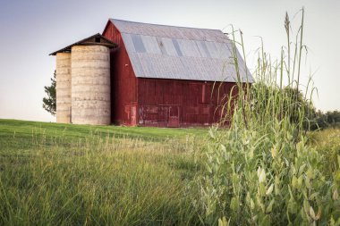 old red barn with twin silo and reeds and milk weed along irrigation ditch at Colorado foothills, late summer scenery at dusk, public Shenandoah Park in Fort Collins