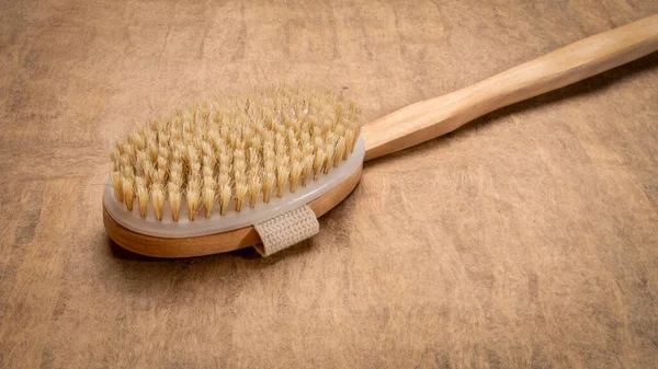 天然のイノシシの毛と長い取り外し可能なハンドルを持つブラシ 乾燥ブラッシングとセルフケアの概念 — ストック写真