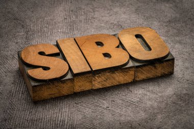 SIBO (küçük bağırsak bakterisi aşırı büyümesi) - eski harf baskı ahşap tipi, sindirim ve mide sağlığı kavramında soyut kelime