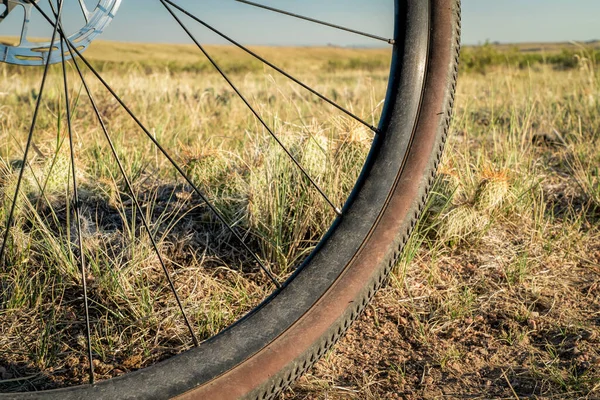 スパイシーなサボテンのある草原のトレイルにある砂利の自転車の前輪 — ストック写真