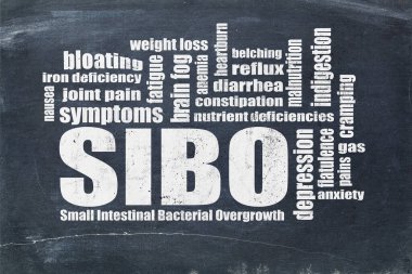 SIBO (ince bağırsak bakteriyel aşırı büyüme) belirtileri - tahtada beyaz tebeşir yazılı kelime bulutu, bağırsak sağlığı kavramı