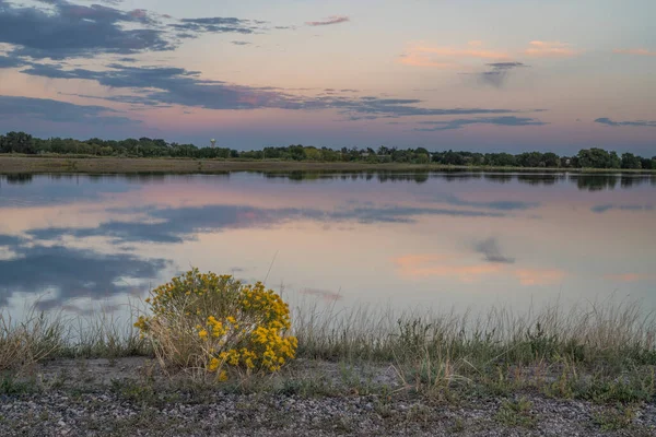 Schemering Meer Colorado Terug Land Met Konijn Borstel Bush Herfst Stockfoto