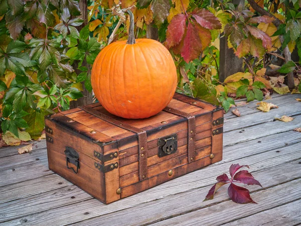 Calabaza Grande Una Pequeña Maleta Retro Vacaciones Otoño Halloween Thanksgiving Fotos De Stock Sin Royalties Gratis