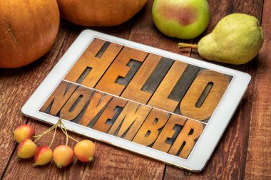 Merhaba November - kabak ve meyveli dijital tablet ekranında eski harf harfleriyle yazılmış soyut tahta bloklar