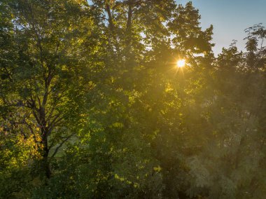 Arka bahçedeki ağaçların arasından parlayan ılık güneş, sonbahar manzarasının havadan görünüşü
