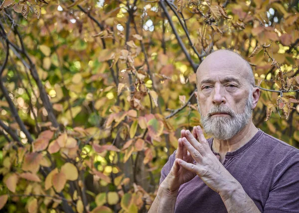 Porträt Eines Glatzköpfigen Bärtigen Selbstbewussten Älteren Mannes Ende Gegen Herbstfärbung — Stockfoto