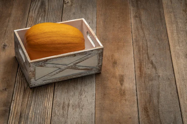 Calabaza Una Caja Almacenamiento Rústica Pintada Blanco Contra Madera Envejecida Imagen de archivo