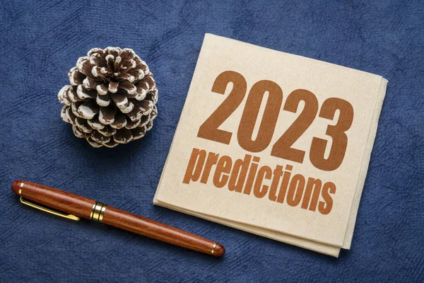 2023年的预测 餐巾上装饰着冰冻松果的单词摘要 新年的商业和金融趋势及预期 — 图库照片