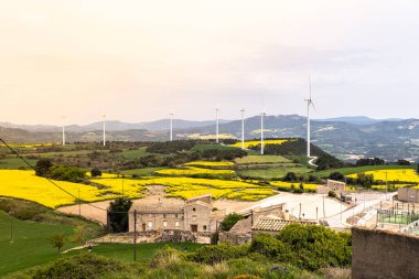 Katalonya 'nın Fores kasabasında bahar aylarında çiçek açan kolza tohumu tarlaları