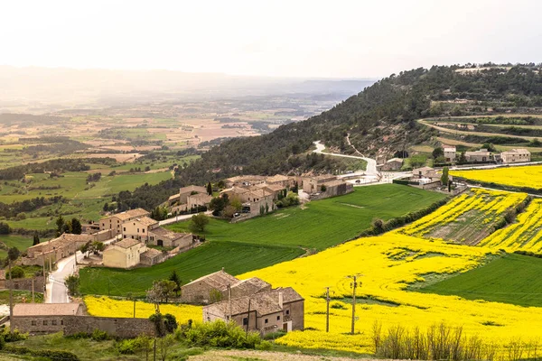 Rapeseed Crop Fields Bloom Spring Town Fores Catalonia Spain — ストック写真