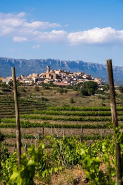 Tarragona İspanya 'da bahar aylarında Priorat şarap bölgesi