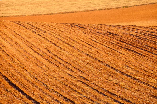 Åkrar Detalj Rioja — Stockfoto