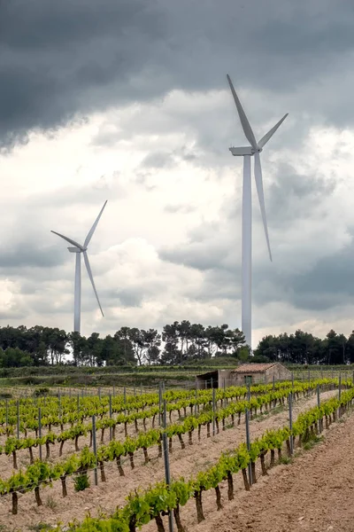 Wind turbines for the clean production of electricity in the field of Lleida in Catalonia Spain