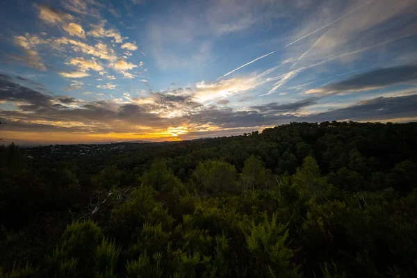 Sunrise Mountains Collserola Natural Park Sant — Φωτογραφία Αρχείου