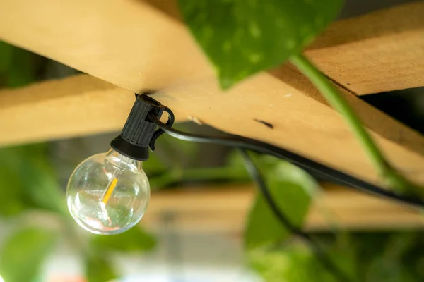 led bulb in an indoor garden