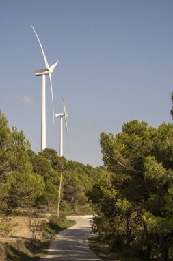 İspanya 'da tarım alanında rüzgar gücü
