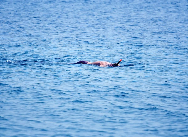 Snorkelen — Stockfoto