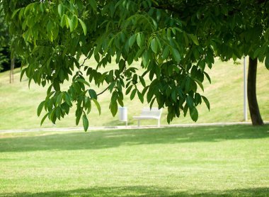 Park