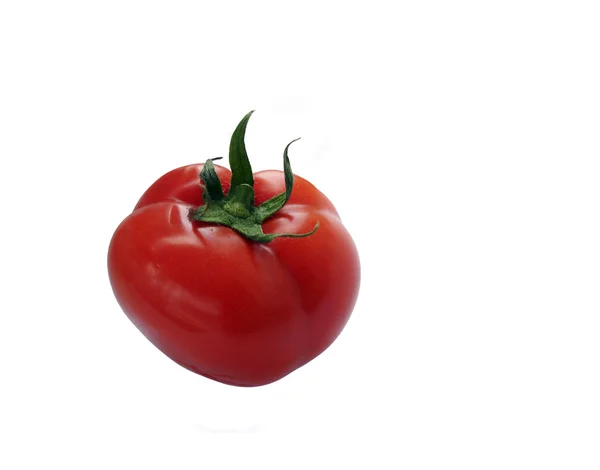 1 tomaat — Stockfoto