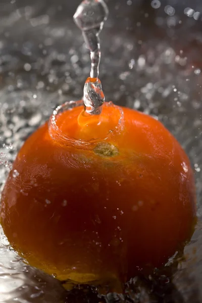 Tomaten — Stockfoto