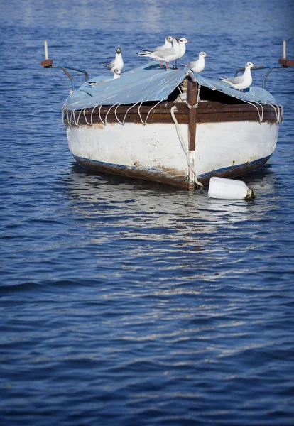 Barco de pesca —  Fotos de Stock