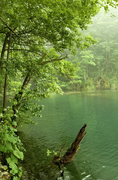 Lago — Fotografia de Stock