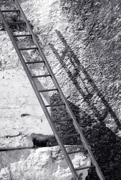 Ladder — Stock Photo, Image