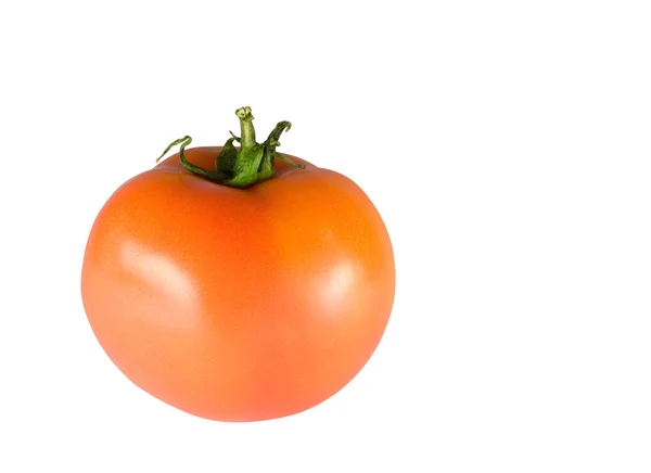 Tomate — Foto de Stock