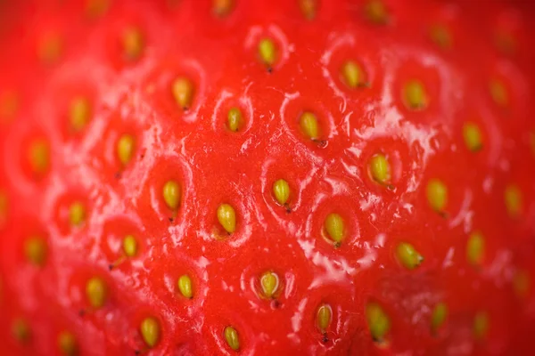 Fraise — Photo