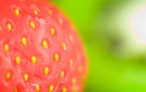 Fragola — Foto Stock