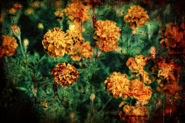 Grunge kwiatowe tło — Zdjęcie stockowe