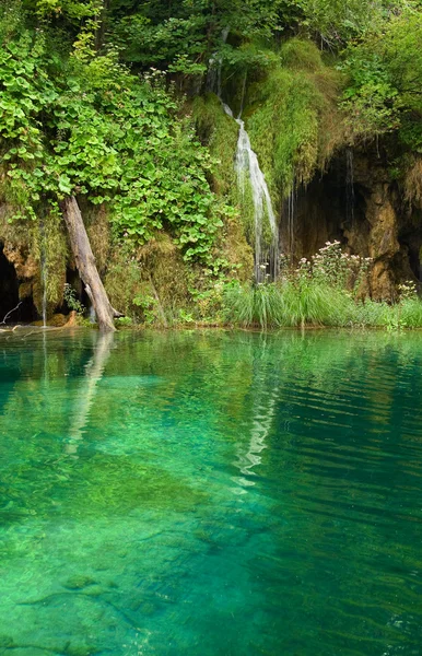 Wasserfall — Stockfoto