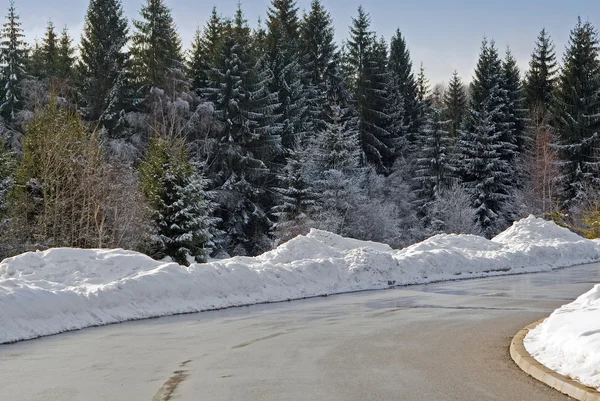 kış yolu