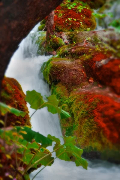 Waterval — Stockfoto