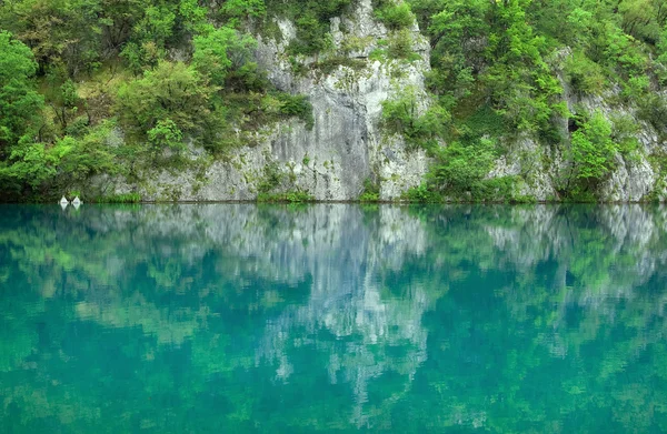 湖面 — 图库照片