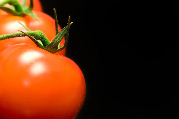 Tomato — Stock Photo, Image