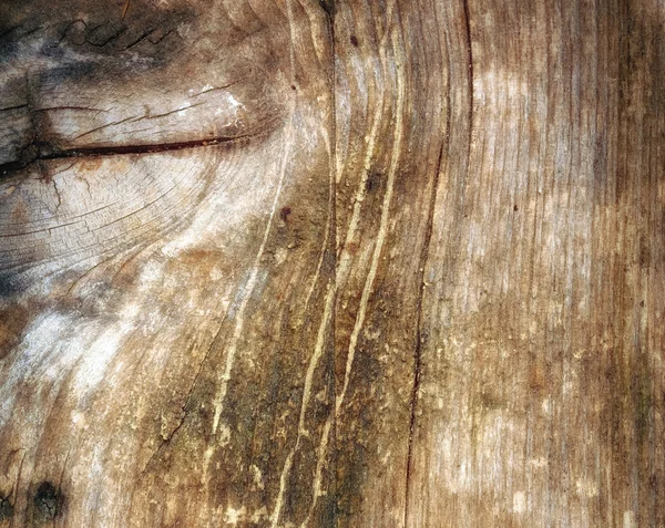 Drewniane tekstura tło lub tła — Zdjęcie stockowe
