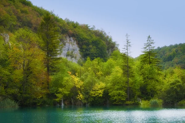 Bellissimo lago — Foto Stock