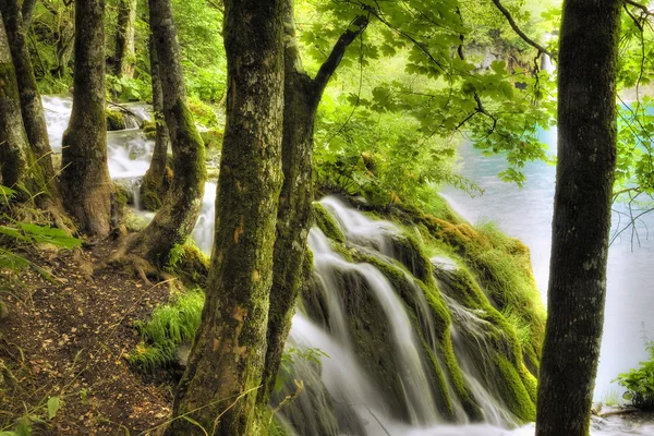 Cascata — Foto Stock